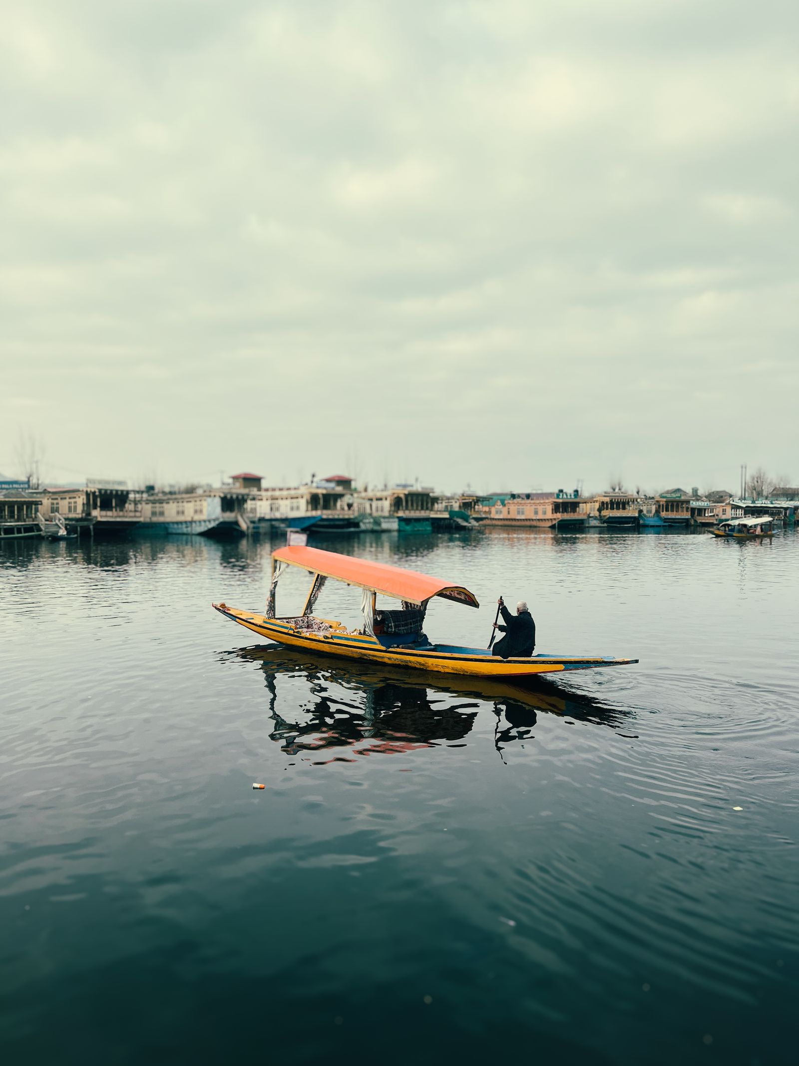 Quiet waters of Dal Lake