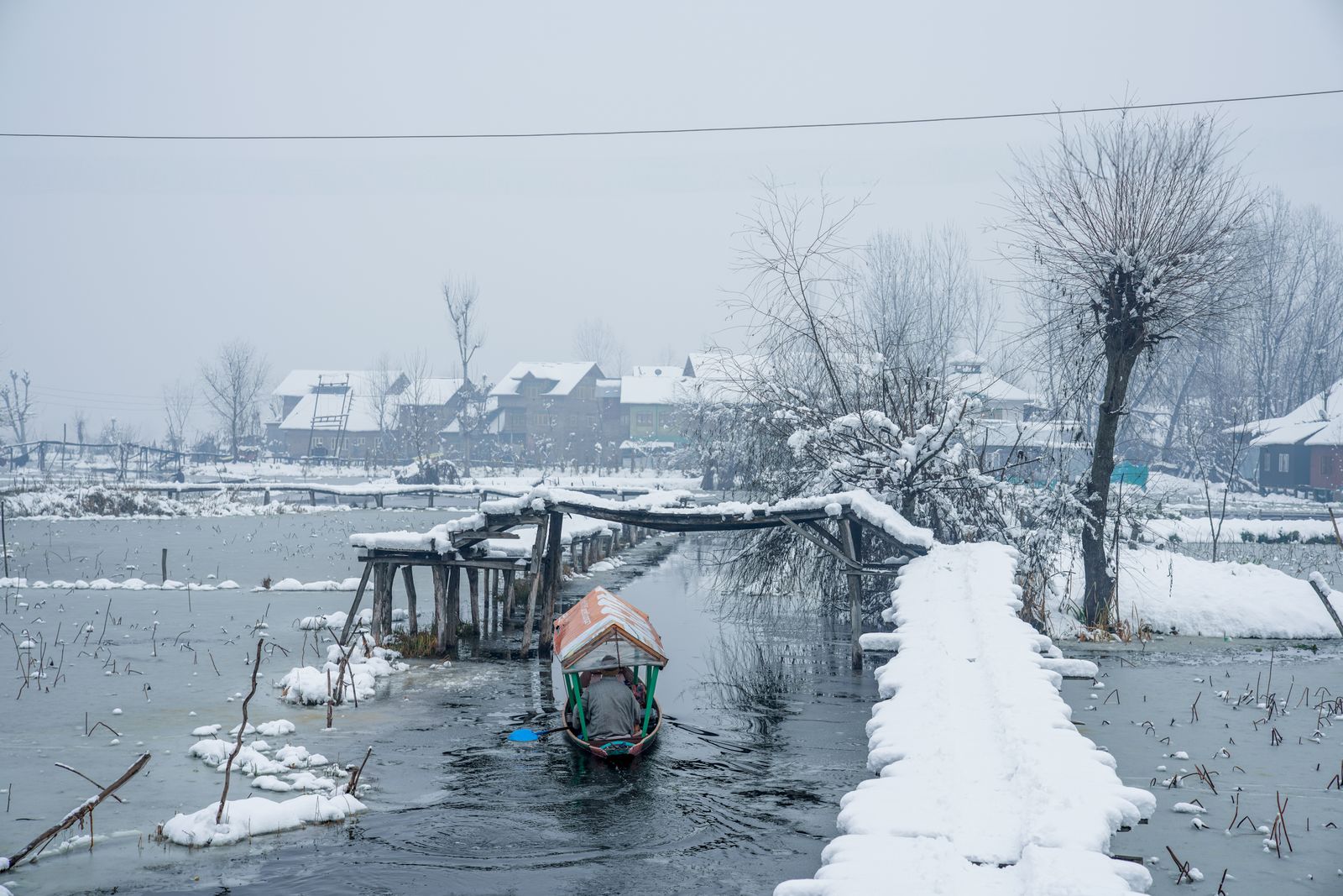 Snowfall beside Dal Lake